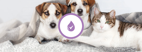 Bona Launches Sustainable, Pet Cleaning System for Everyday Use