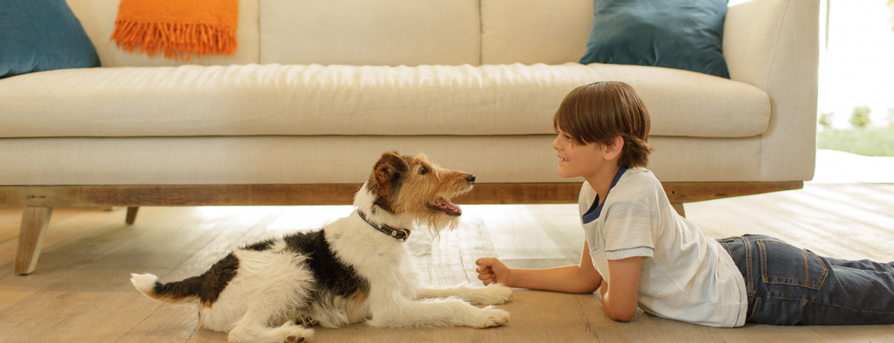 Best way to clean store dog hair off floors