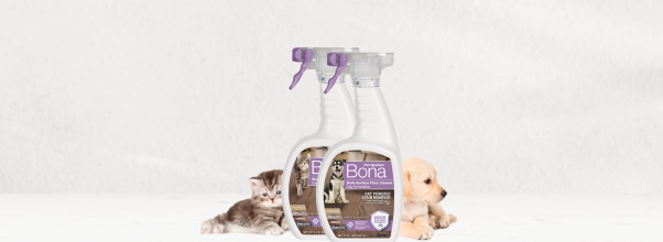 Top Bona Products for Cat Lovers 