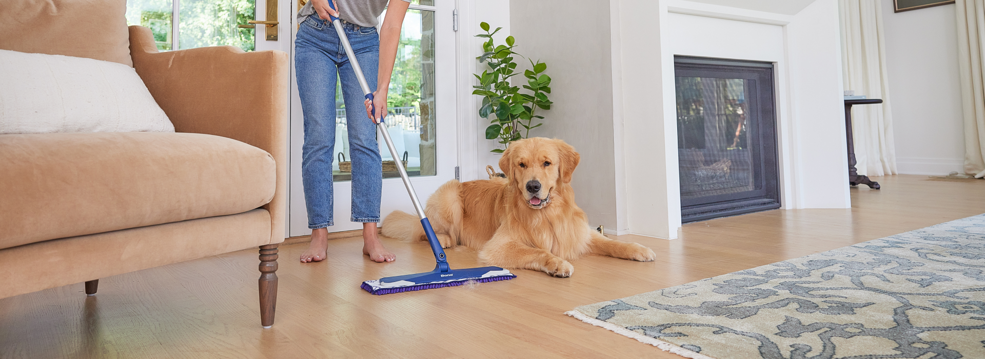 Microfiber, Floor Scrubbers & Dry Carpet Cleaning