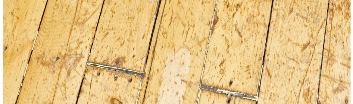 Are Hardwood Floors Hiding Under Your Carpet 